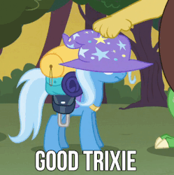 Size: 441x443 | Tagged: safe, edit, edited screencap, screencap, discord, trixie, pony, unicorn, g4, to where and back again, animated, bag, caption, clothes, female, gif, head pat, mare, pat, solo focus, trixie is not amused, trixie's hat, unamused, unhappy