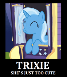 Size: 480x551 | Tagged: safe, trixie, pony, unicorn, g4, to where and back again, cute, demotivational poster, female, mare, meme, solo, truth