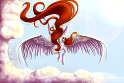 Size: 3000x2000 | Tagged: safe, artist:coralinatoilly, oc, oc only, oc:leaflet, pegasus, pony, female, flying, high res, mare, solo, spread wings