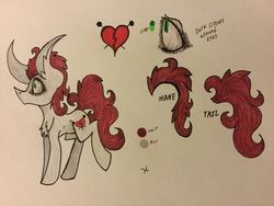 Size: 2048x1536 | Tagged: safe, artist:monochromepony625, oc, oc only, oc:pin cushion, pony, photo, solo, traditional art