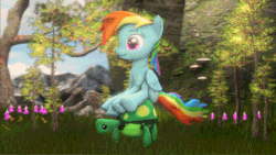 Size: 660x371 | Tagged: safe, artist:gen-ma, rainbow dash, tank, pegasus, pony, g4, 3d, animated, ear flick, female, forest, gif, grass, mare, sitting, smiling, source filmmaker, tree