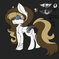 Size: 2000x2000 | Tagged: safe, artist:brokensilence, oc, oc only, oc:mira songheart, vampony, alternate universe, high res, large wings, markings, ponysona, reference sheet, solo, wings
