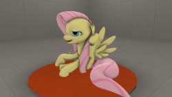 Size: 1280x720 | Tagged: safe, artist:red4567, fluttershy, pegasus, pony, g4, 3d, animated, behaving like a dog, ear scratch, female, floppy ears, flutterdog, gif, horses doing horse things, lidded eyes, majestic as fuck, open mouth, scratching, sitting, smiling, solo, source filmmaker, spread wings, stage.bsp, tongue out