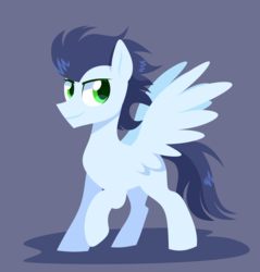 Size: 3120x3269 | Tagged: safe, artist:yaco, soarin', pony, g4, high res, lineless, male, solo, spread wings