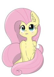 Size: 2456x3484 | Tagged: safe, artist:meowmavi, fluttershy, pony, g4, chest fluff, ear fluff, female, high res, simple background, solo, transparent background