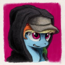 Size: 353x353 | Tagged: safe, artist:hewison, rainbow dash, pony, g4, bust, clothes, female, hat, hoodie, portrait, solo