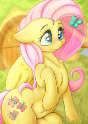 Size: 2480x3508 | Tagged: safe, artist:alcor, fluttershy, butterfly, pony, g4, belly button, blushing, cheek fluff, chest fluff, crepuscular rays, cute, female, floppy ears, high res, human shoulders, looking at something, looking up, raised hoof, shyabetes, smiling, solo