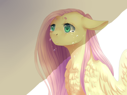 Size: 2400x1800 | Tagged: safe, artist:maria-fly, fluttershy, pony, g4, chest fluff, crying, female, floppy ears, long mane, looking away, looking up, sad, shade, solo