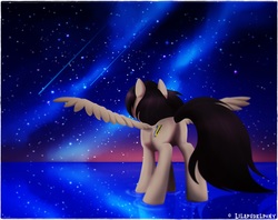 Size: 3980x3152 | Tagged: safe, artist:lilapudelpony, oc, oc only, oc:lucky doodle, pegasus, pony, high res, night, night sky, solo