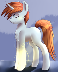 Size: 1324x1629 | Tagged: safe, artist:php69, oc, oc only, pony, unicorn, chest fluff, light, male, solo, stallion