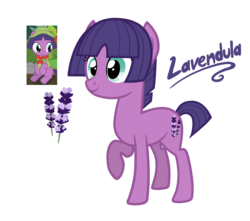 Size: 1224x1080 | Tagged: safe, artist:thecheeseburger, lavandula, pony, g4, my little pony: friendship is magic, the mane attraction, character name, cutie mark, female, filly, foal, happy, lavandula (flower), older, quadrupedal, raised hoof, reference sheet, simple background, sitting, smiling, solo, standing, teenager, transparent background