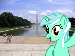 Size: 1575x1167 | Tagged: artist needed, safe, lyra heartstrings, human, g4, irl, irl human, photo, ponies in real life, solo, washington monument