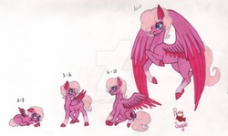 Size: 1024x610 | Tagged: safe, artist:tazzy-girl, oc, oc only, oc:rosy sugar, pegasus, pony, age progression, baby, baby pony, female, filly, solo, traditional art, watermark