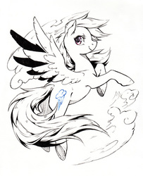 Size: 689x850 | Tagged: safe, artist:kutty-sark, rainbow dash, pony, g4, female, solo