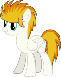 Size: 2630x3314 | Tagged: safe, artist:cejs94, oc, oc only, oc:kaos meleer, pegasus, pony, 2017 community collab, derpibooru community collaboration, high res, simple background, solo, transparent background, vector