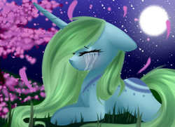 Size: 3500x2527 | Tagged: safe, artist:bambudess, oc, oc only, oc:sweet serenity, pony, crying, high res, night, sad, solo