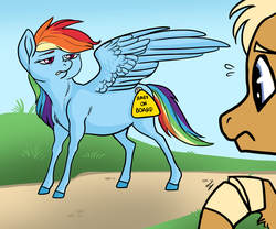 Size: 1024x853 | Tagged: safe, artist:loryska, quibble pants, rainbow dash, g4, male, natural hair color, preggo dash, pregnant, rainbow dash is not amused, ship:quibbledash, shipping, sticker, story included, straight, unamused, worried