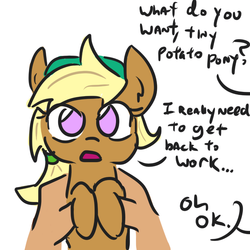 Size: 912x912 | Tagged: safe, artist:jargon scott, part of a set, oc, oc only, oc:tater trot, human, pony, dialogue, female, holding a pony, offscreen character, part of a series, simple background, what do you want, white background