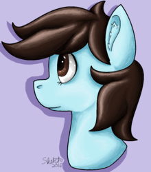 Size: 931x1059 | Tagged: safe, artist:sketchthebluepegasus, oc, oc only, earth pony, pony, bust, portrait, solo