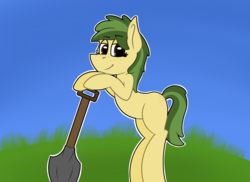 Size: 2000x1455 | Tagged: safe, artist:koonzypony, oc, oc only, oc:cambium root, earth pony, pony, butt freckles, ear freckles, freckles, grass, shovel, simple background, solo, working