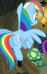 Size: 297x468 | Tagged: safe, screencap, rainbow dash, tank, twilight sparkle, pony, g4, too many pinkie pies, butt, cropped, female, mare, plot