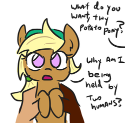 Size: 471x461 | Tagged: safe, artist:jargon scott, oc, oc only, oc:tater trot, human, pony, dialogue, holding a pony, offscreen character, simple background, what do you want, white background