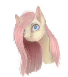 Size: 1600x1800 | Tagged: safe, artist:maria-fly, fluttershy, pony, g4, bust, female, portrait, simple background, solo, white background