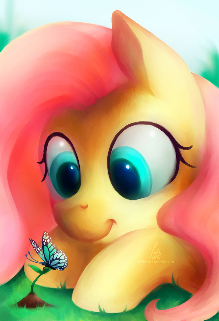 1311410 Safe Artist Nekiw Fluttershy Butterfly Pegasus Pony