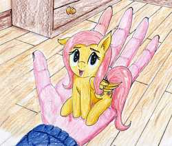 Size: 2610x2211 | Tagged: safe, artist:40kponyguy, derpibooru exclusive, fluttershy, human, g4, female, hand, high res, in goliath's palm, it's dangerous to go alone, looking at you, looking up, looking up at you, sitting, solo, tiny ponies, traditional art, wooden floor