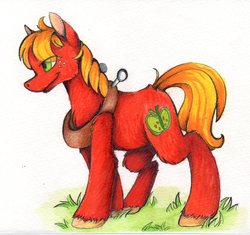 Size: 1827x1714 | Tagged: safe, artist:cutepencilcase, big macintosh, earth pony, pony, g4, commission, male, solo, stallion, traditional art