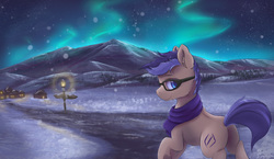 Size: 5700x3300 | Tagged: safe, artist:ardail, oc, oc only, pony, absurd resolution, aurora borealis, butt, clothes, commission, fluffy, glasses, lamppost, night sky, plot, scarf, snow, snowfall, solo, stars, village, winter
