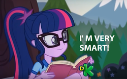 Size: 968x604 | Tagged: safe, edit, edited screencap, screencap, sci-twi, twilight sparkle, equestria girls, g4, my little pony equestria girls: legend of everfree, book, captain obvious, caption, discovery kids, female, glasses, image macro, meme, solo, text