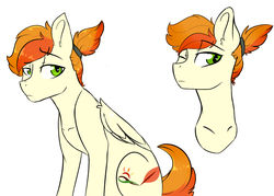 Size: 3700x2652 | Tagged: dead source, safe, artist:shiny-cooler, oc, oc only, oc:flame feather, pegasus, pony, female, high res, mare, offspring, parent:soarin', parent:spitfire, parents:soarinfire, solo