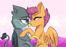 Size: 1024x734 | Tagged: dead source, safe, artist:shiny-cooler, gabby, scootaloo, griffon, g4, female, gabbyloo, interspecies, lesbian, older, older scootaloo, shipping