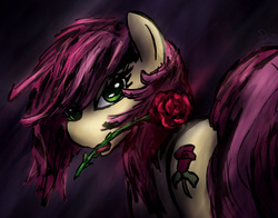 Size: 3290x2585 | Tagged: safe, artist:acreuball, roseluck, pony, g4, female, flower, flower in mouth, high res, looking back, mouth hold, rose, solo