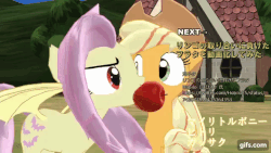 Size: 640x360 | Tagged: safe, artist:ガラムマサラ別館, applejack, fluttershy, bat pony, earth pony, pony, g4, 3d, animated, apple, butt wings, eating, eyes closed, female, fight, flapping, flutterbat, food, frown, gif, glare, hello darkness my old friend, looking at you, mare, mmd, mouth hold, nom, race swap, spread wings, that pony sure does love apples, thousand yard stare, tug of war, wide eyes, youtube link