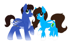 Size: 2500x1500 | Tagged: safe, artist:php161, oc, oc only, oc:chiarascura, oc:melody guardian, pegasus, pony, 2017 community collab, derpibooru community collaboration, chest fluff, chialody, couple, ear fluff, female, male, mare, raised hoof, simple background, smiling, spread wings, stallion, straight, transparent background