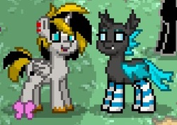 Size: 320x226 | Tagged: safe, oc, oc only, oc:abby, oc:thunder scratch, alicorn, changeling, pony, pony town, alicorn oc, changeling oc, clothes, socks, striped socks