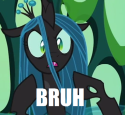 Size: 520x480 | Tagged: safe, edit, edited screencap, editor:watermelon changeling, screencap, queen chrysalis, changeling, changeling queen, g4, to where and back again, bruh, female, queen bruhsalis, solo