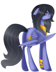 Size: 1489x1915 | Tagged: safe, artist:bonniebatman, oc, oc only, pegasus, pony, female, mare, simple background, solo, transparent background