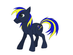 Size: 3239x2459 | Tagged: safe, oc, oc only, oc:dusk shine, earth pony, pony, 2017 community collab, derpibooru community collaboration, high res, male, simple background, solo, stallion, transparent background