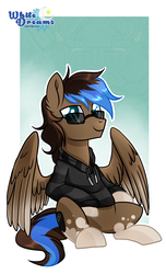 Size: 1781x2932 | Tagged: safe, artist:xwhitedreamsx, oc, oc only, oc:playthrough, pegasus, pony, clothes, glasses, hoodie, looking back, male, sitting, smiling, solo, spread wings, stallion, sunglasses