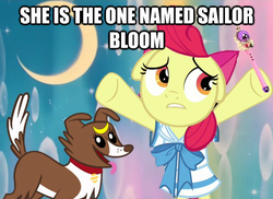 Size: 624x455 | Tagged: safe, edit, edited screencap, screencap, apple bloom, winona, g4, one bad apple, floppy ears, image macro, meme, parody, sailor bloom, sailor moon (series), sailor uniform