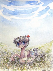 Size: 1440x1931 | Tagged: safe, artist:share dast, oc, oc only, butterfly, earth pony, pony, chamomile, field, floral head wreath, flower, solo, traditional art, watercolor painting