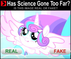 Size: 600x500 | Tagged: safe, princess flurry heart, g4, season 6, female, has science gone too far?, meme, real or fake, solo