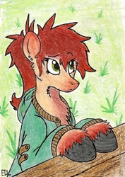 Size: 800x1127 | Tagged: safe, artist:inkbleederwolf, oc, oc only, oc:nora, earth pony, pony, clothes, earring, farm, female, hoodie, mare, piercing, ponytail, red hair, solo, traditional art, unshorn fetlocks