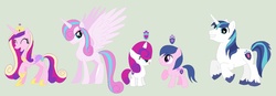 Size: 1516x527 | Tagged: safe, artist:deppressedunicorn, princess cadance, princess flurry heart, shining armor, oc, oc:gleaming shield, oc:prince star shield, oc:princess gleaming shield, oc:star shield, g4, season 6, family, female, male, offspring, older, older flurry heart, parent:princess cadance, parent:shining armor, parents:shiningcadance, ship:shiningcadance, shipping, simple background, straight