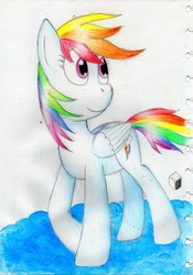 Size: 2454x3503 | Tagged: safe, rainbow dash, g4, female, high res, pencil drawing, solo, traditional art