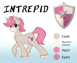 Size: 3781x3106 | Tagged: safe, artist:sugaryviolet, oc, oc only, oc:intrepid charm, pony, unicorn, high res, male, reference sheet, stallion, unshorn fetlocks