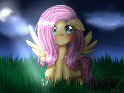 Size: 2000x1500 | Tagged: safe, artist:xxchibiyumexx, fluttershy, pegasus, pony, g4, female, floppy ears, front view, full face view, full moon, grass, looking at you, mare, moonlight, night, night sky, sitting, solo, spread wings